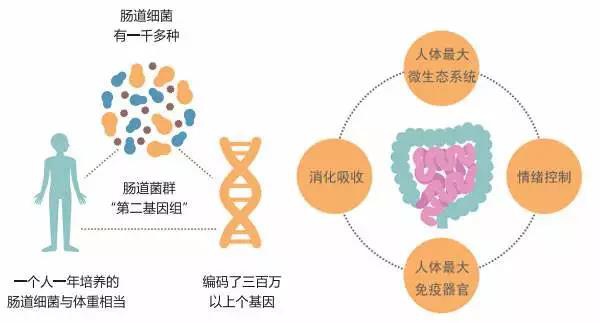 2024年澳门原料免费118